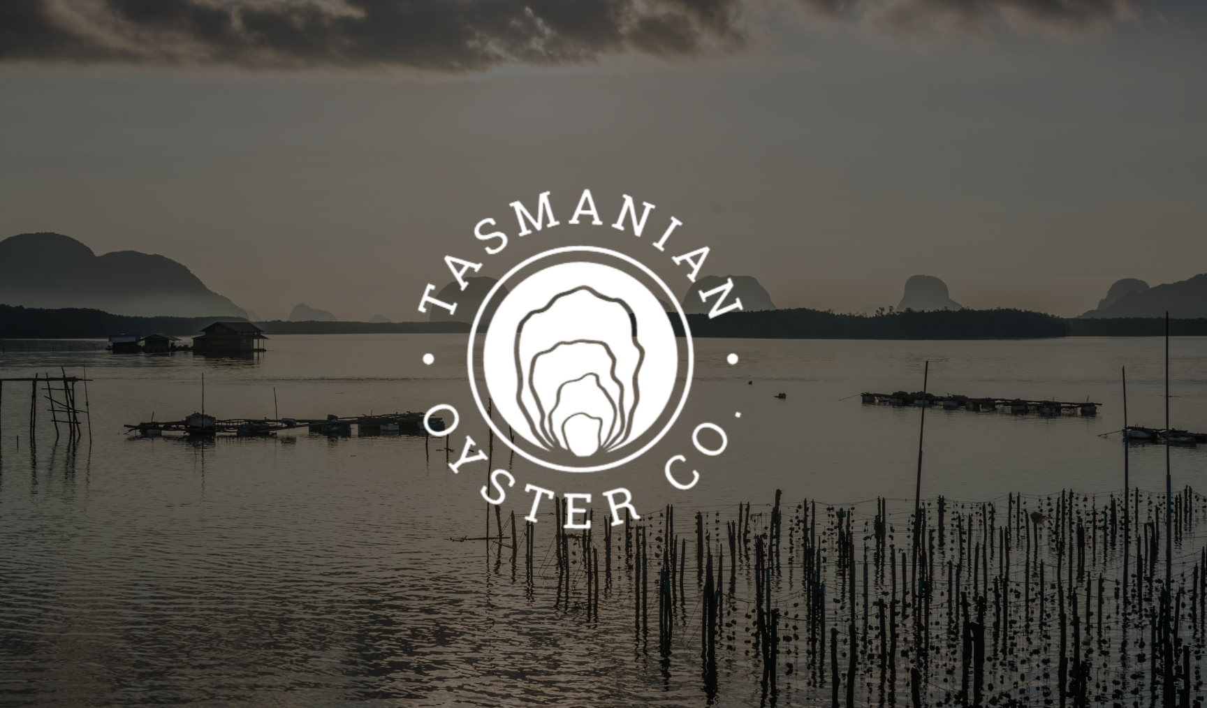 Tasmania Oyster Co